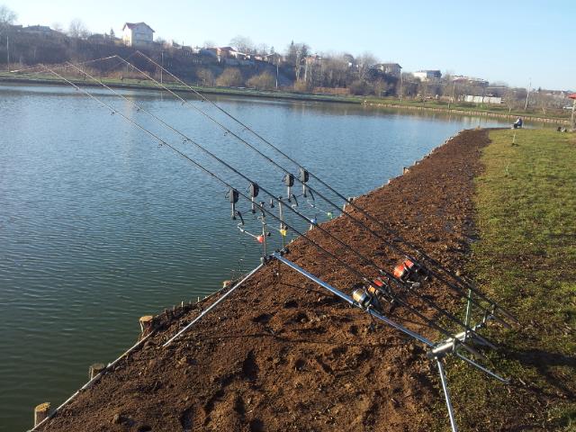 Floarea Popestiului 11 - 11 ian. - 20140111094626.jpg